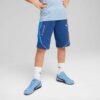 Pantalones cortos deportivos para niños grandes de BMW M Motorsport Pantalones cortos deportivos para niños grandes de BMW M Motorsport