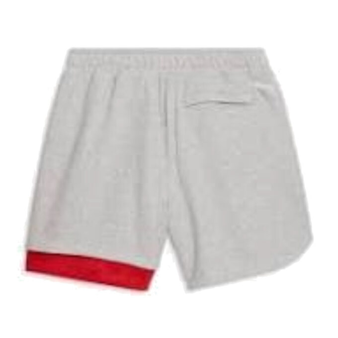 Pantalones cortos PUMA x MELO Ralph “Gris Azul Rojo”