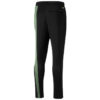 Pantalones de baloncesto Ralph Sampson “Negro Verde”