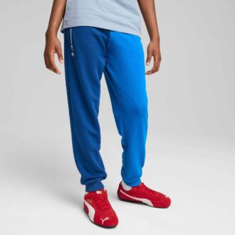 Pantalones deportivos BMW M Motorsport Essentials para niños grandes