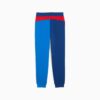 Pantalones deportivos BMW M Motorsport Essentials para niños grandes