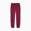 Pantalones deportivos de polar Essentials Satin para niños grandes