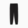 Pantalones deportivos Essentials con estampado animal para niños grandes Pantalones deportivos Essentials con estampado animal para niños grandes