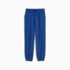 Pantalones deportivos Essentials Satin para mujer Pantalones deportivos Essentials Satin para mujer