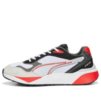 PUMA RS-Métrico