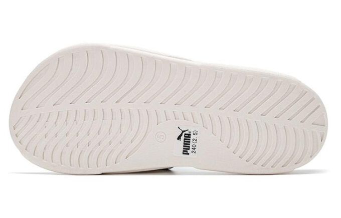 Royalcat Bz Yinshua “Blanco y Amarillo”