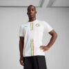 Réplica de la camiseta de fútbol local de Senegal 2025 para hombre Réplica de la camiseta de fútbol local de Senegal 2025 para hombre