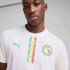 Réplica de la camiseta de fútbol local de Senegal 2025 para hombre Réplica de la camiseta de fútbol local de Senegal 2025 para hombre
