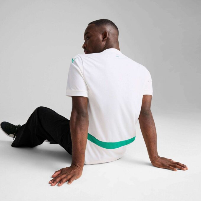 Réplica de la camiseta de fútbol local de Senegal 2025 para hombre Réplica de la camiseta de fútbol local de Senegal 2025 para hombre