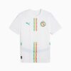 Réplica de la camiseta de fútbol local de Senegal 2025 para hombre Réplica de la camiseta de fútbol local de Senegal 2025 para hombre