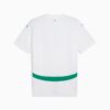 Réplica de la camiseta de fútbol local de Senegal 2025 para hombre Réplica de la camiseta de fútbol local de Senegal 2025 para hombre