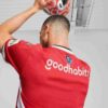 Réplica de la camiseta de fútbol local del PSV Eindhoven 24/25 para hombre Réplica de la camiseta de fútbol local del PSV Eindhoven 24/25 para hombre
