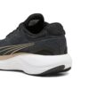 Scend Pro Engineered “Oro Negro”