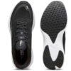Scend Pro “Negro Blanco”