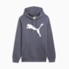 Sudadera con capucha con el logotipo de Big Cat Men