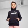 Sudadera con capucha de forro polar Essentials para niños pequeños