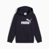 Sudadera con capucha de forro polar Essentials para niños pequeños