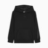 Sudadera con capucha de forro polar Essentials Satin para niños grandes Sudadera con capucha de forro polar Essentials Satin para niños grandes