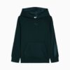 Sudadera con capucha de forro polar Essentials Satin para niños pequeños