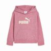 Sudadera con capucha de polar para niños pequeños con el logotipo Core No. 1