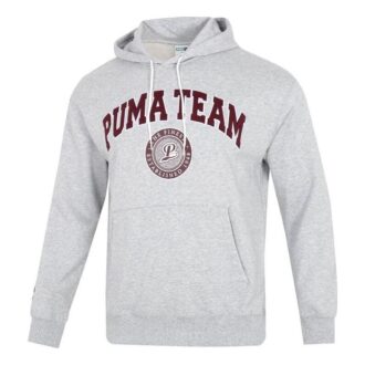Sudadera con capucha del equipo “Gris”
