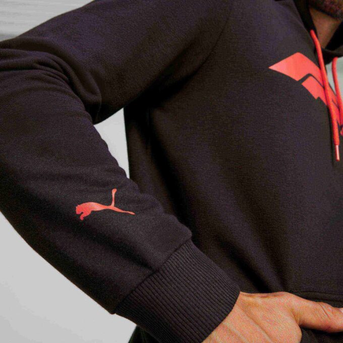 Sudadera con capucha esencial para deportes de motor de Fórmula 1® para hombre Sudadera con capucha esencial para deportes de motor de Fórmula 1® para hombre