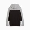 Sudadera con capucha Essentials Color Block para hombre Sudadera con capucha Essentials Color Block para hombre