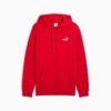 Sudadera con capucha Essentials Men con logotipo pequeño Sudadera con capucha Essentials Men con logotipo pequeño