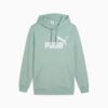 Sudadera con capucha Essentials para hombre Sudadera con capucha Essentials para hombre