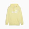 Sudadera con capucha Essentials para hombre Sudadera con capucha Essentials para hombre