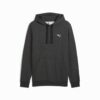 Sudadera con capucha Essentials para hombre Sudadera con capucha Essentials para hombre