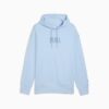 Sudadera con capucha gráfica Premium Essentials Sudadera con capucha gráfica Premium Essentials