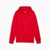 Sudadera con capucha gráfica Premium Essentials Sudadera con capucha gráfica Premium Essentials