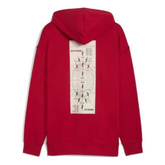 Sudadera con capucha relajada PUMA x Harry Potter “Dark Crimson”