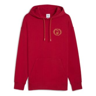 Sudadera con capucha relajada PUMA x Harry Potter “Dark Crimson”