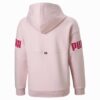 Sudadera con capucha y bloques de color Power Pack para niños grandes Sudadera con capucha y bloques de color Power Pack para niños grandes