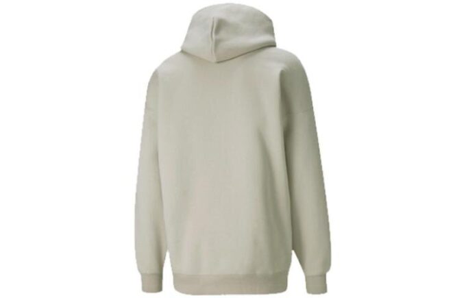 Sudadera con capucha y logo pequeño “Gris”
