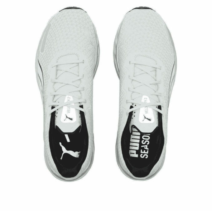 Velocity Nitro 2 WTR “Blanco azulado”