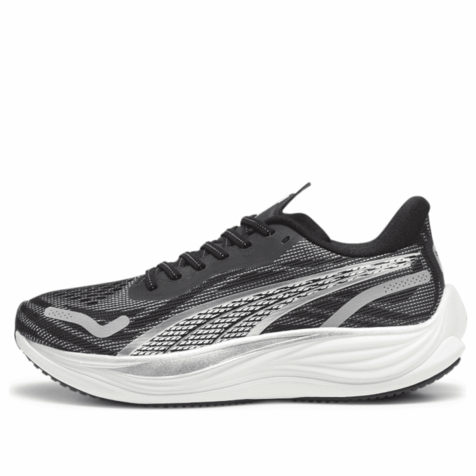 Velocity Nitro 3 “Azul Blanco Plata”