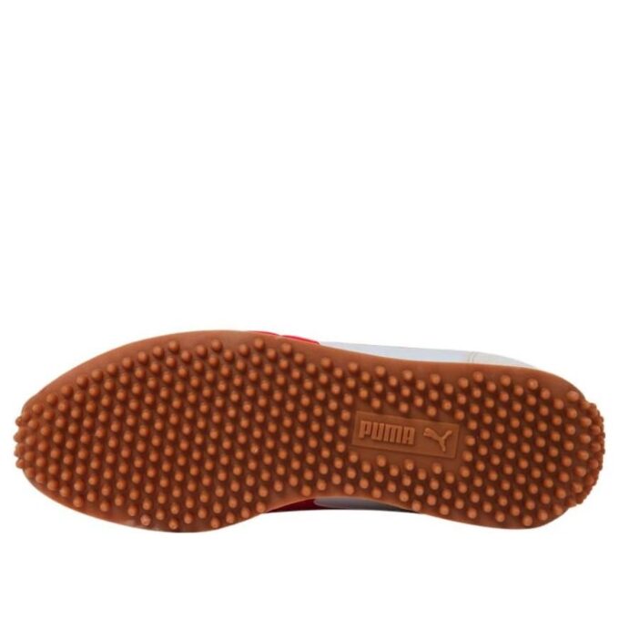 Whirlwind Classic “Blanco Rojo Bronceado”