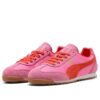 (WMNS) Arizona Energy “Rosa Posie, Rojo Feroz”