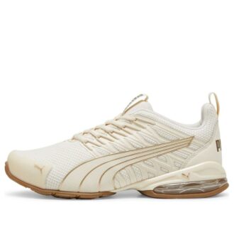 (WMNS) Voltaic Evo “Almendras confitadas doradas”