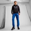 Zapatillas BMW M Motorsport Voltaic Evo para hombre