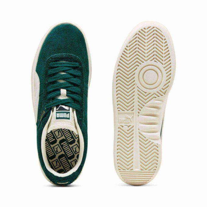Zapatillas de ante especiales GV Zapatillas de ante especiales GV