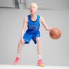 Zapatillas de baloncesto All-Pro NITRO™ Zapatillas de baloncesto All-Pro NITRO™