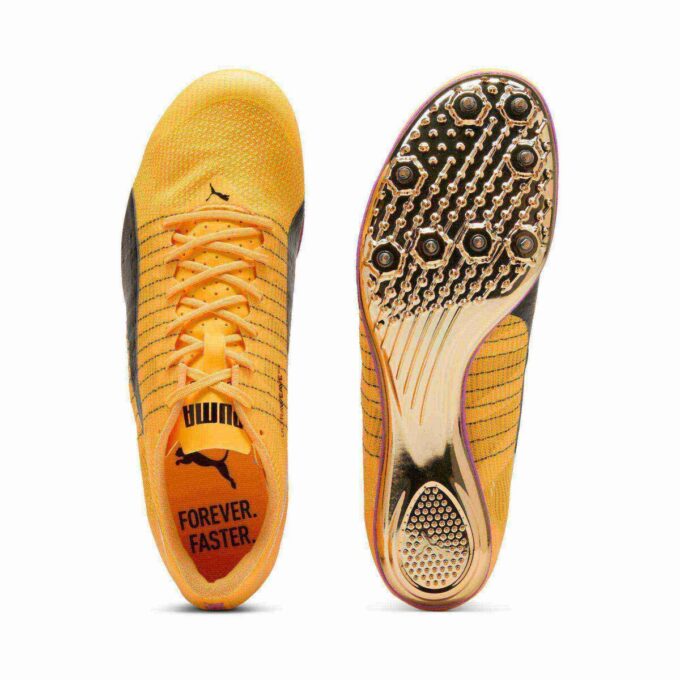 Zapatillas de clavos para atletismo evoSPEED Brush 6 Zapatillas de clavos para atletismo evoSPEED Brush 6