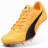 Zapatillas de clavos para atletismo evoSPEED Brush 6 Zapatillas de clavos para atletismo evoSPEED Brush 6