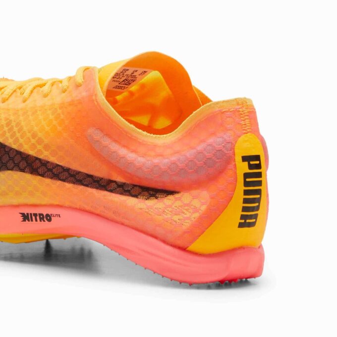 Zapatillas de clavos para pista y campo evoSPEED Distance NITRO™ Elite+ 4 para hombre Zapatillas de clavos para pista y campo evoSPEED Distance NITRO™ Elite+ 4 para hombre