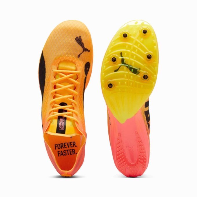 Zapatillas de clavos para pista y campo evoSPEED Distance NITRO™ Elite+ 4 para hombre Zapatillas de clavos para pista y campo evoSPEED Distance NITRO™ Elite+ 4 para hombre