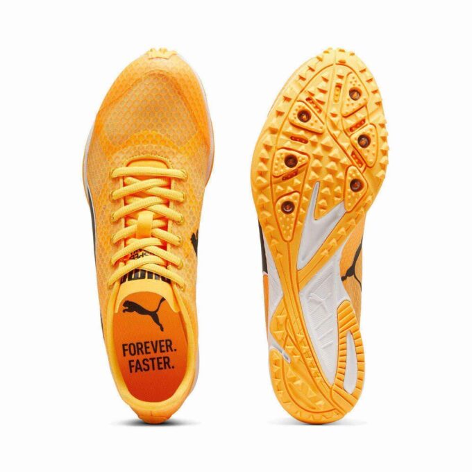 Zapatillas de clavos para pista y campo evoSPEED Haraka 8 Zapatillas de clavos para pista y campo evoSPEED Haraka 8
